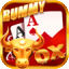 bonus game teen patti icon